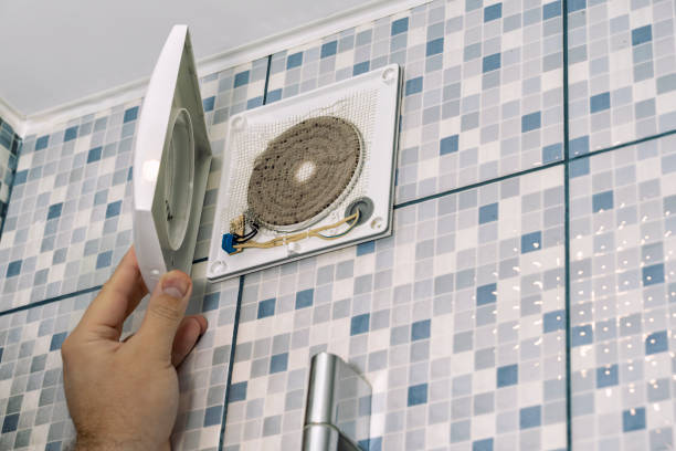 Best Air Duct Cleaning Near Me  in Daisetta, TX
