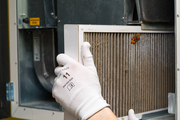 Best HVAC Air Duct Cleaning  in Daisetta, TX