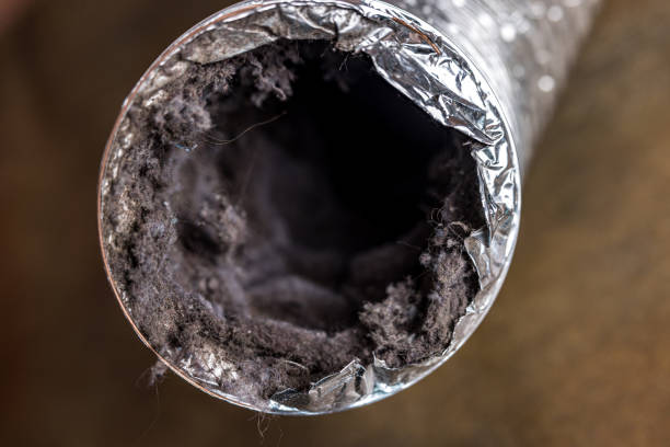 Best Air Duct Cleaning Near Me  in Daisetta, TX