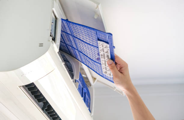 Best Dryer Vent Cleaning Services  in Daisetta, TX