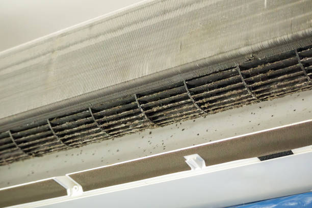 Best Ventilation Cleaning Services  in Daisetta, TX
