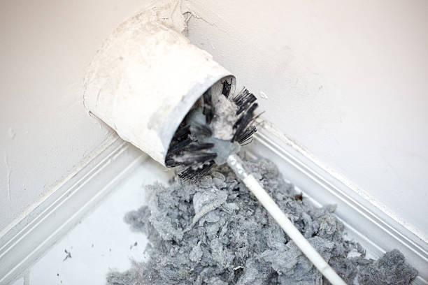 Best Residential Air Duct Cleaning  in Daisetta, TX