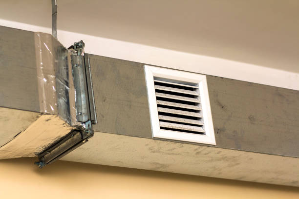 Best Ventilation Cleaning Services  in Daisetta, TX